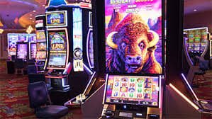 Người dùng Việt Nam tham gia Bingo trực tuyến trên điện thoại tại tv3600